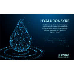 Flyer til Hyaluron i A5